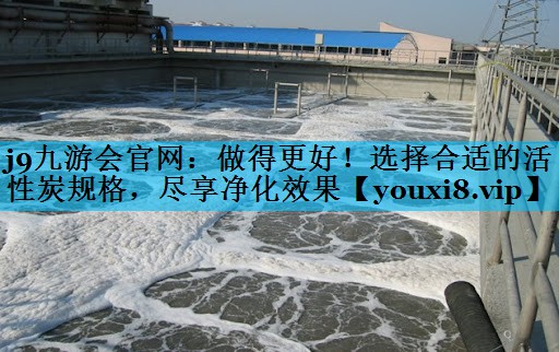 j9九游会官网：做得更好！选择合适的活性炭规格，尽享净化效果