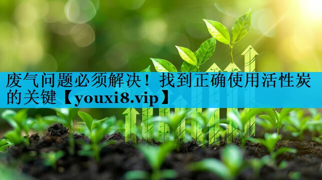 废气问题必须解决！找到正确使用活性炭的关键