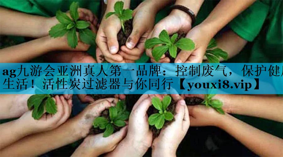 控制废气，保护健康生活！活性炭过滤器与你同行