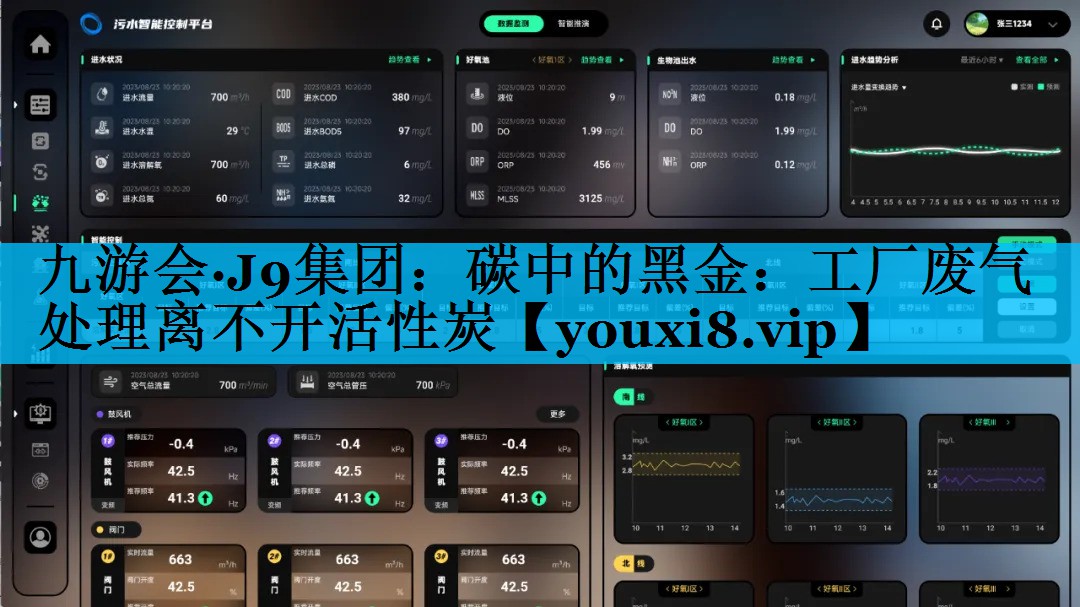 碳中的黑金：工厂废气处理离不开活性炭