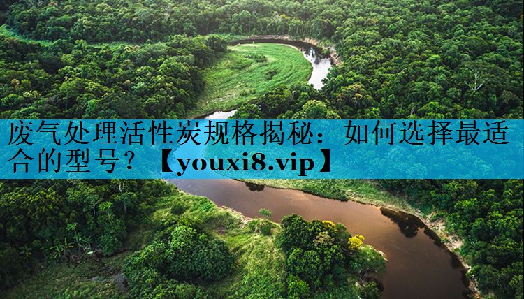 废气处理活性炭规格揭秘：如何选择最适合的型号？