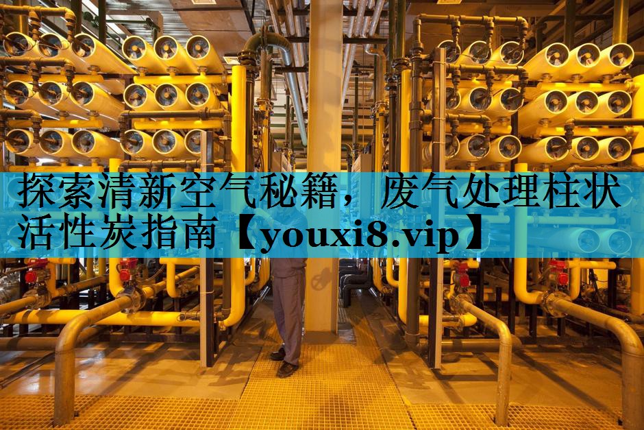 探索清新空气秘籍，废气处理柱状活性炭指南