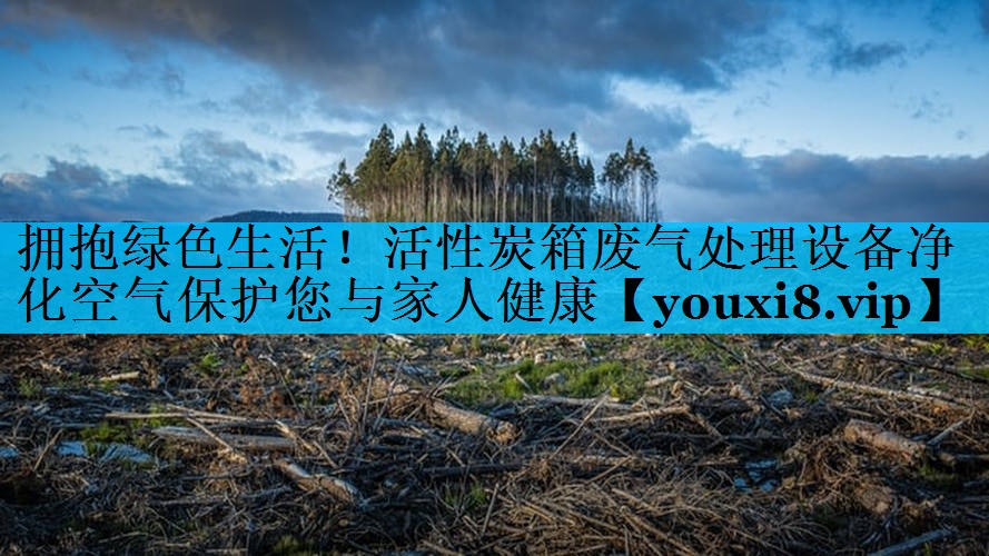 拥抱绿色生活！活性炭箱废气处理设备净化空气保护您与家人健康