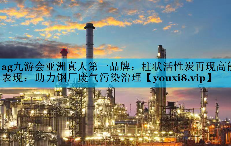 柱状活性炭再现高能表现：助力钢厂废气污染治理
