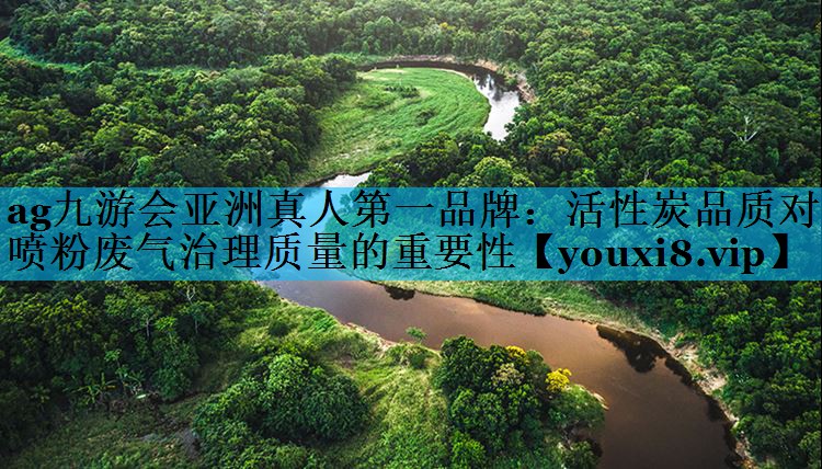 活性炭品质对喷粉废气治理质量的重要性