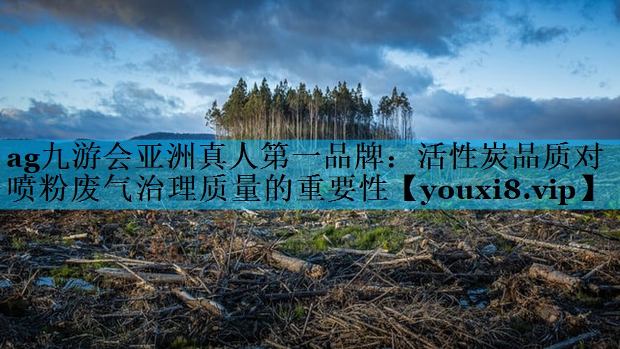 活性炭品质对喷粉废气治理质量的重要性