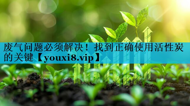 废气问题必须解决！找到正确使用活性炭的关键